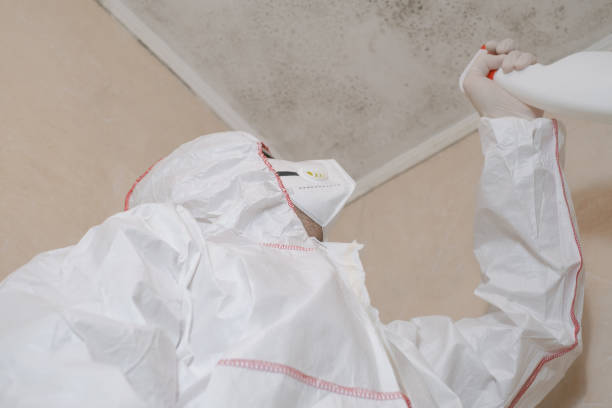 Best Localized Mold Remediation (e.g., coastal areas, humid climates) in Stony Prairie, OH