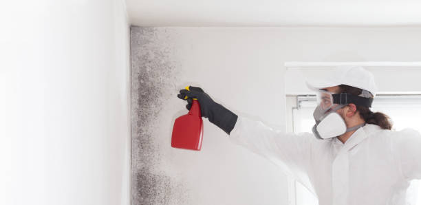 Best Mold Testing and Inspection Services in Stony Prairie, OH